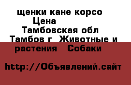 щенки кане корсо › Цена ­ 15 000 - Тамбовская обл., Тамбов г. Животные и растения » Собаки   